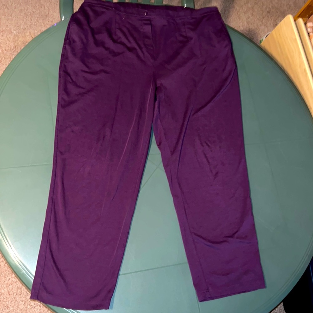2X Purple Pants